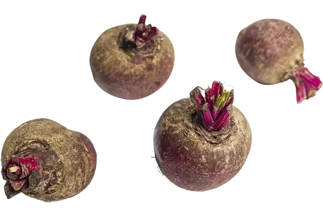 Mini beetroot red 200gr crade 12 pieces